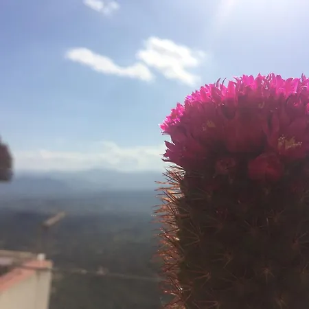 Mansarda Moro *